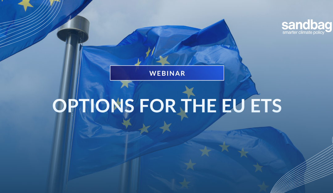 Webinar: Options for the EU ETS