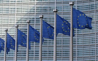 EU ETS Reform – Policy Suggestions for the European Parliament