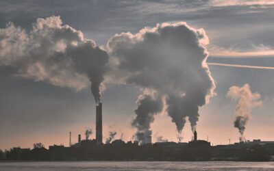 ESR reform: Millions of tonnes of CO2 at stake