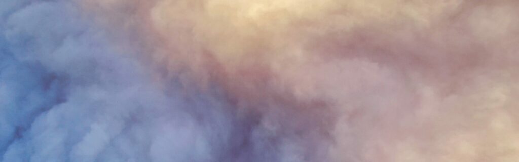 free allocation of emissions permits